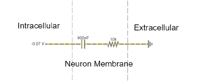 ../_images/capacitor_membrane.png