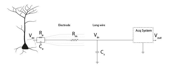 equivalent circuit of the electrode, with a subsequent capacitance to ground representing shunt capacitance
