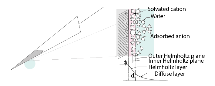 Depicts cartoon of metal and solution touching (electrode and extracellular fluid respectively). Negative ions within the metal are attracted to positive charges in the solution.