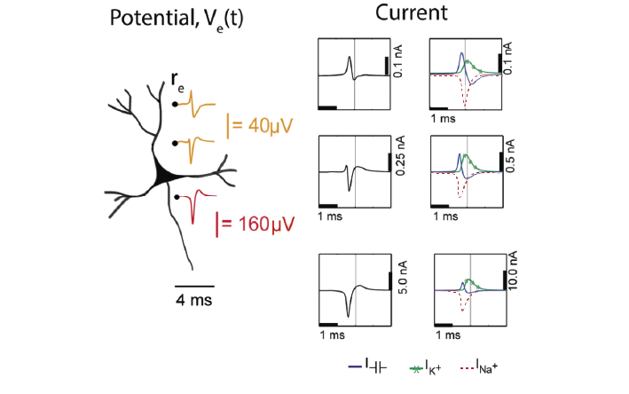 ../_images/electric_potential_spike.png