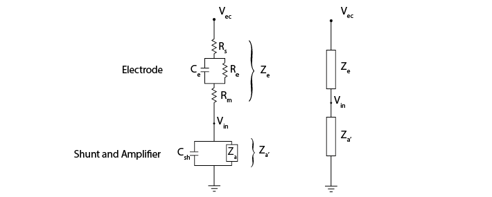 The electrode impedance and the shunt+amplifier impedance in series, showing how these two parts form a voltage divider.